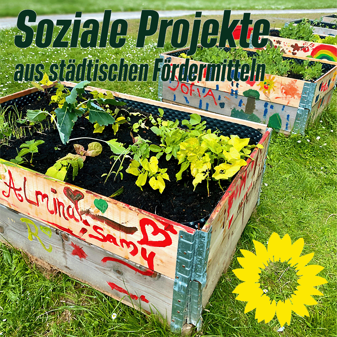 Soziale Projekte aus städtischen Fördermitteln: Gemüsebeete am Gustav ...